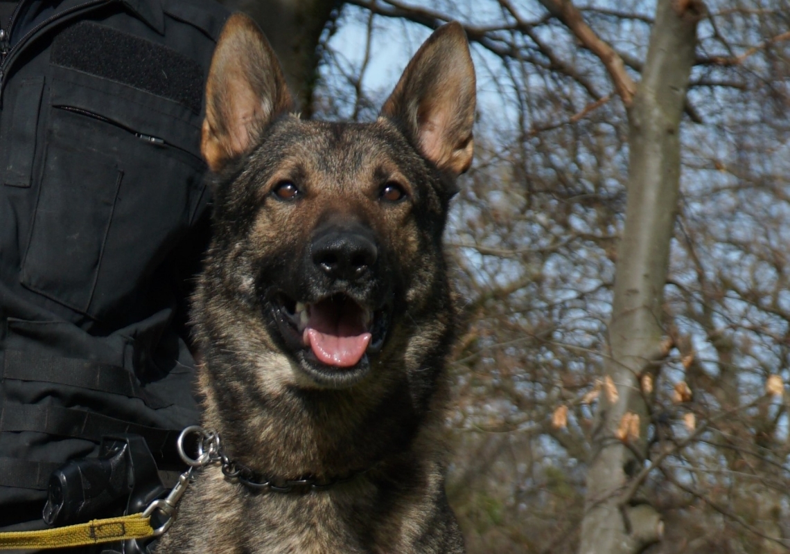 Erol von Hunnenk&ouml;nig